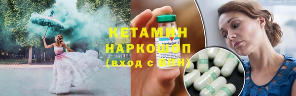 прущие грибы Новозыбков