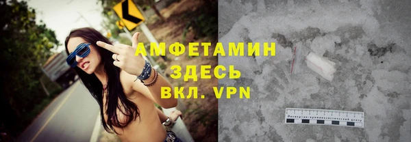 прущие грибы Новозыбков