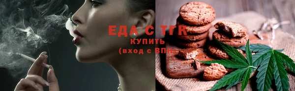прущие грибы Новозыбков