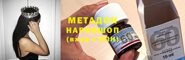 прущие грибы Новозыбков