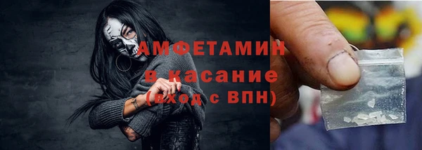 прущие грибы Новозыбков