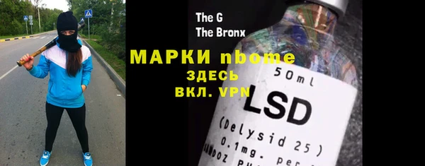 прущие грибы Новозыбков