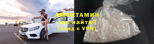 прущие грибы Новозыбков
