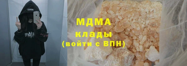 прущие грибы Новозыбков
