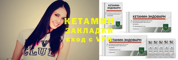 прущие грибы Новозыбков
