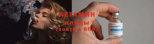 прущие грибы Новозыбков
