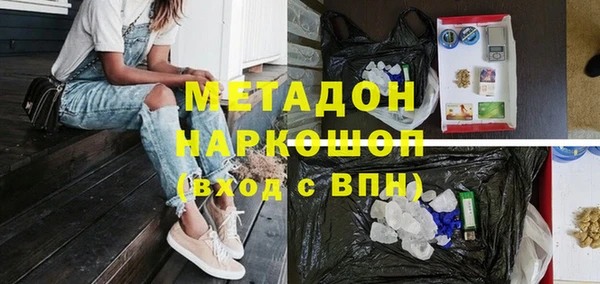 прущие грибы Новозыбков