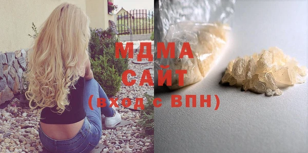 прущие грибы Новозыбков