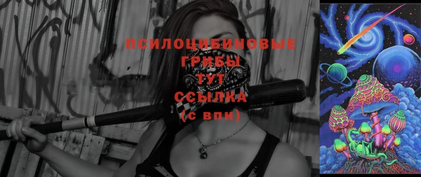mdpv Новодвинск
