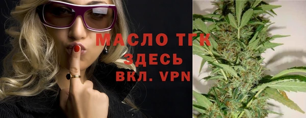 прущие грибы Новозыбков