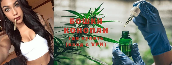 стафф Новокубанск
